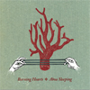 Burning Hearts - Aboa sleeping