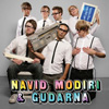 Navid Modiri & Gudarna - Allt jag lärt mig hittills