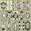 Pixie Carnation - Fresh poems