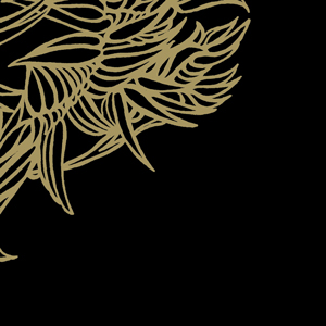 Logh - Lights from sovereign states 7