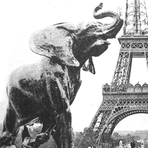 Sonores - s/t (IAT.MP3.004)