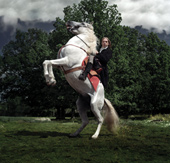 Sir Eric Beyond and the Avant-garde - s/t